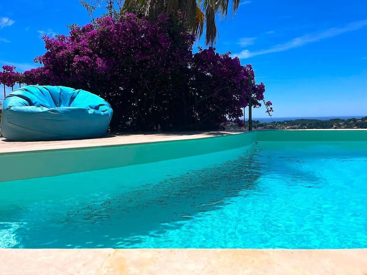 Magnifique Villa Au Calme, Vue Mer, Piscine Ollioules