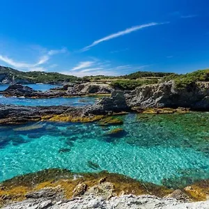 Vacances Idéales Limite Sanary Sur Mer !! Logement Partagé Shared Appartement